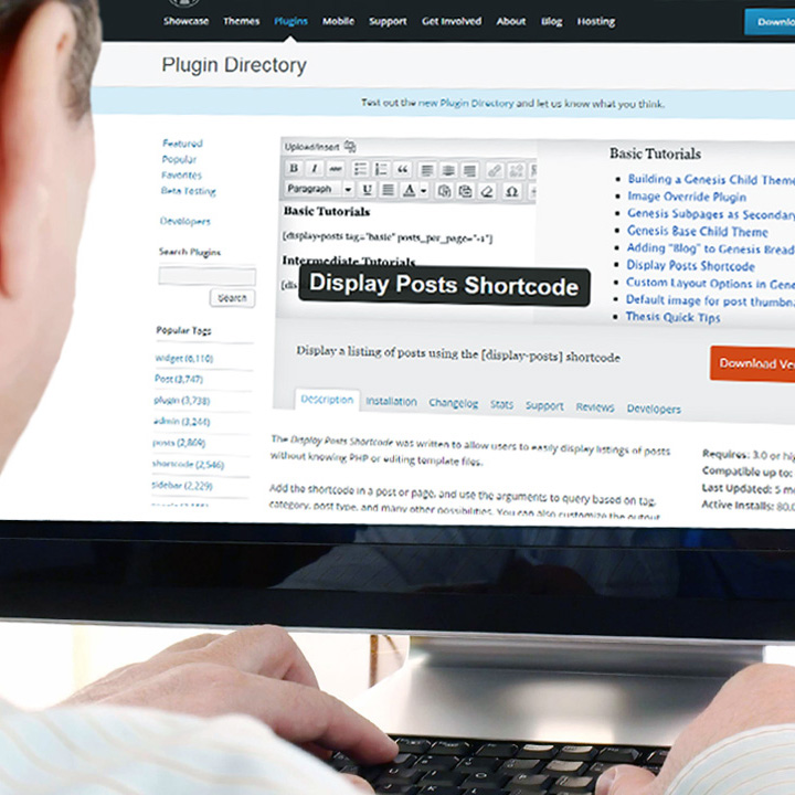  Display Posts Shortcode  WordPress          